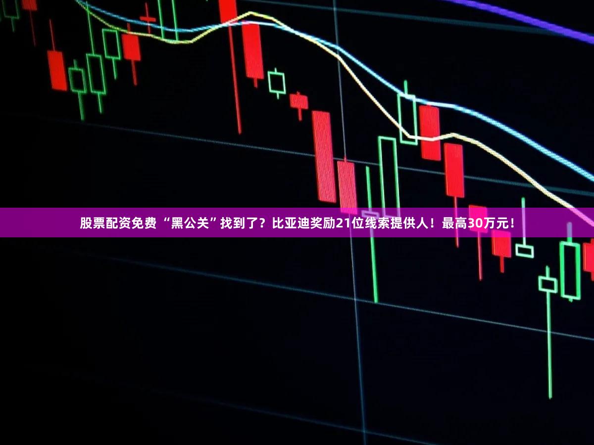 股票配资免费 “黑公关”找到了？比亚迪奖励21位线索提供人！最高30万元！