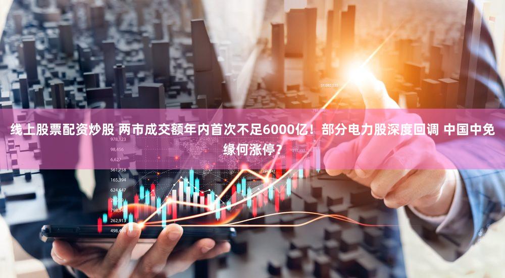 线上股票配资炒股 两市成交额年内首次不足6000亿！部分电力股深度回调 中国中免缘何涨停？