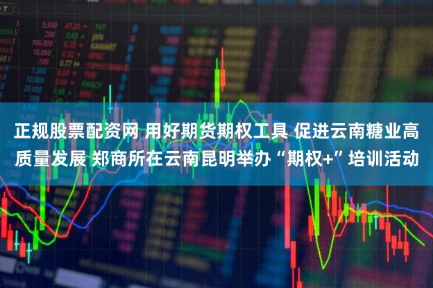 正规股票配资网 用好期货期权工具 促进云南糖业高质量发展 郑商所在云南昆明举办“期权+”培训活动