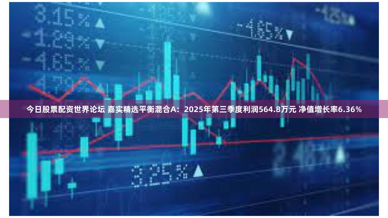 今日股票配资世界论坛 嘉实精选平衡混合A：2025年第三季度利润564.8万元 净值增长率6.36%
