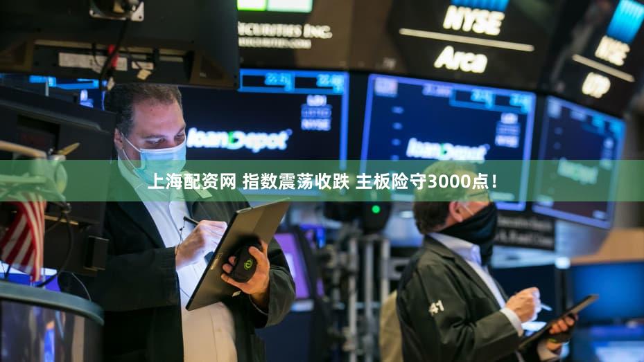上海配资网 指数震荡收跌 主板险守3000点！