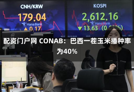 配资门户网 CONAB：巴西一茬玉米播种率为40%