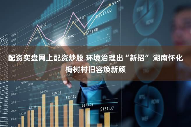 配资实盘网上配资炒股 环境治理出“新招” 湖南怀化梅树村旧容焕新颜