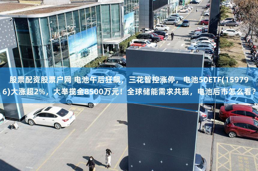 股票配资股票户网 电池午后狂飙,三花智控涨停,电池50ETF(159796)大涨超2%,大举揽金8500万元!全球储能需求共振,电池后市怎么看?