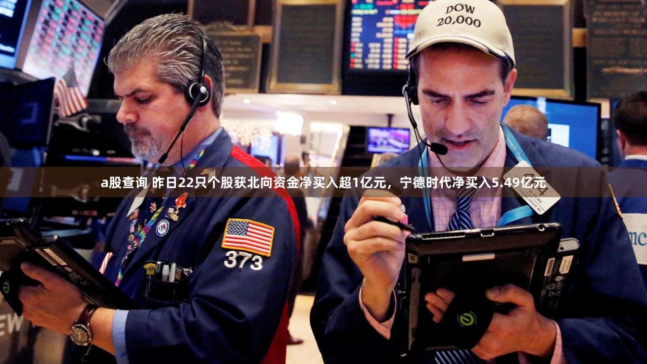 a股查询 昨日22只个股获北向资金净买入超1亿元，宁德时代净买入5.49亿元