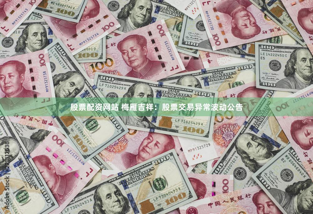 股票配资网站 梅雁吉祥：股票交易异常波动公告